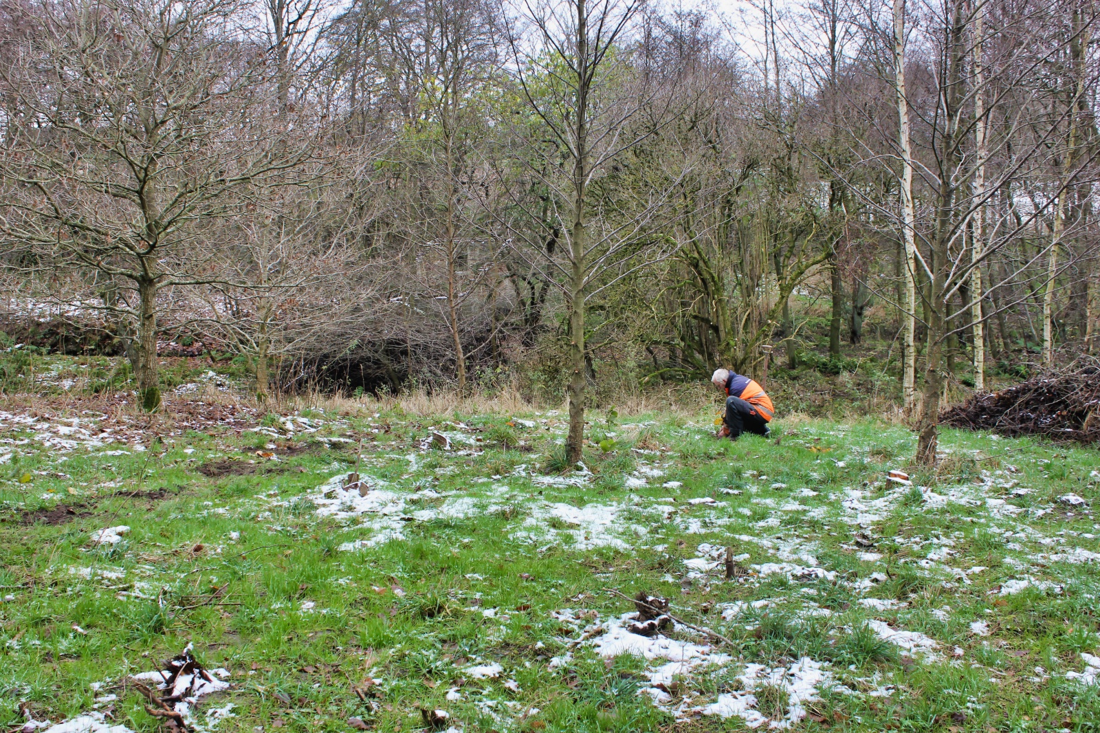 23. november - plantning